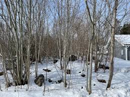 Image result for site:byggahus.se If 