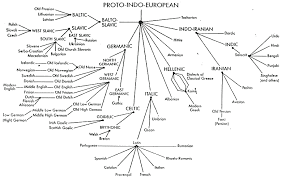 65 all inclusive language family tree diagram