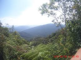 Bu konaklamalara konum, temizlik ve daha pek çok açıdan yüksek puan vermişler. Hiking The Gunung Angsi Negeri Sembilan Steemit