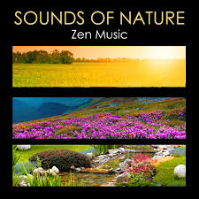 I find this generator to fit really nicely with aeternitas (western choir). Album Sounds Of Nature Zen Music Relaxing Nature Music For Zen Meditation Chakra Balancing Body Mind Connection Yoga Massage Sauna Relaxation Deep Sleep Relax Sounds Of Nature White Noise For