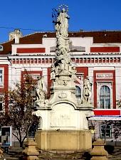 Livram la domiciliu buchete de flori proaspete atat pentru aniversari dar si pentru orice alta ocazie, pentru a spune multumesc sau sa ai o zi buna. Statuia Sfintei Maria Timisoara