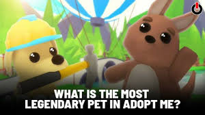 The website is still in progress and some items have not been added. Adopt Me Pets List What Is The Most Legendary Pet In Adopt Me