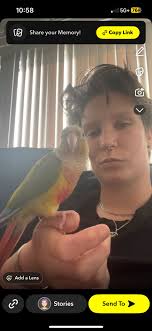 Where to adopt a bird from a reputable rescue?