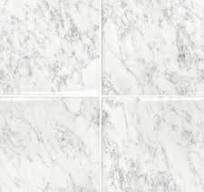 Bianco Carrara Marble Tile Stone