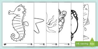 Narwhal adult coloring pages sea life coloring page whale printable colouring pages pdf download thecreativehappylife. Under The Sea Creatures Colouring Sheets Primary Resources