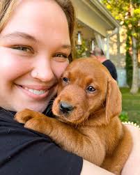 Officer Finley Brewer (@officer_finley) • Instagram photos and videos