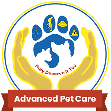 We did not find results for: Veterinary Hospital In San Bernardino Ca 92408 Advanced Pet Care