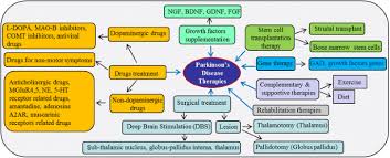 Maybe you would like to learn more about one of these? Current Understanding Of The Molecular Mechanisms In Parkinson S Disease Targets For Potential Treatments Translational Neurodegeneration Full Text