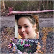 Justice for Abbi's Life, Freedom for Abbi's Soul