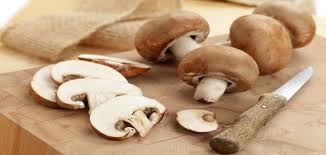 وبنحو الذي قلنا في ذلك قال أهل التأويل. ÙÙˆØ§Ø¦Ø¯ Ø§Ù„ÙØ·Ø± Ø§Ù„Ø¬ÙˆØ§Ø¨