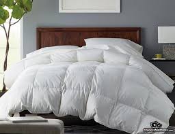 Check spelling or type a new query. Best Down Comforter Reviews 2021 7 Options For You