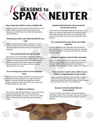 Usually there is a fee to purchase these puppies even if it is from an animal shelter as they need to cover the cost of. Spay Neuter Fttf