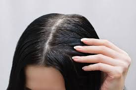 Natural african hair is curly and so to measure it, one would have to stretch out the coils. Blog Grey Hair Myths That You Should Stop Believing