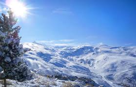 Check spelling or type a new query. Como Ir A Sierra Nevada Desde Madrid