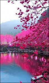 We did not find results for: Landscape Wallpaper For Android Phone Popular Century