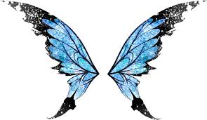 Download Largest Collection Of Free To Edit Butterflywings Stickers Green Butterfly Wings Transparent Clipart Full Size Clipart 3992500 Pinclipart PSD Mockup Templates