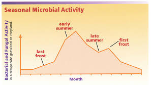 Soil Food Web Nrcs Soils