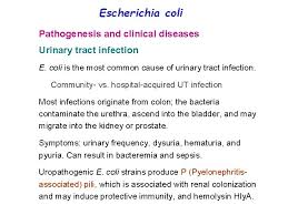 Coli o157:h7 infection usually begin three or four days after exposure to the bacteria. Enterobacteriaceae Meningitis Opportunistic Pathogens Escherichia Coli Pneumonia Klebsiella