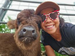 Puppy named Cow in Western Country Living