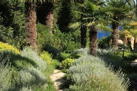 Jean Mus Paysagiste De La Mediterranee La Terre Est Un Jardin