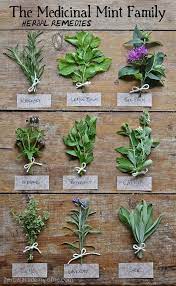 Pin On Urban Gardening