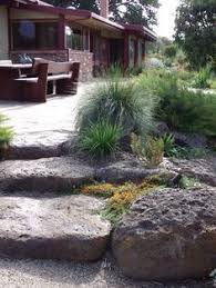 Australian Rock Garden Google Search Native Garden Rock Garden Landscaping Australian Native Garden
