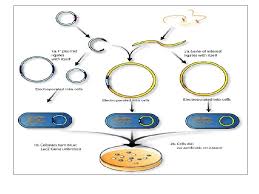 Maybe you would like to learn more about one of these? Fermentation By Microorganisms Lec 2 Bioprocess Or Fermentation