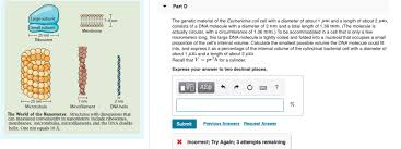 How big is a cell in nanometers. Part D Inae7 8 Nm Large Subunit The Genetic Material Chegg Com