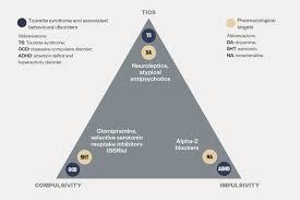 Where people who are addicted to rx pain pills & heroin fall victim to resentment, anger & fear. Chronic Tic Disorders Diagnosis Treatment And Management The Pharmaceutical Journal