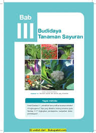 Oleh admin diposting pada 7 maret 2021 7 juni 2021. Bab 3 Budidaya Tanaman Sayuran