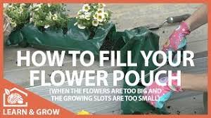 Check spelling or type a new query. How To Fill Your Flower Pouch Learn Grow Youtube