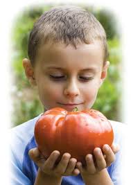 ORAL NUTRITIONAL PRODUCTS 2011