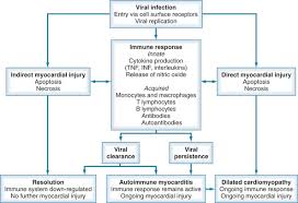 Management, and therapy of myocarditis: Myocarditis And Acute Myopathies Clinical Gate