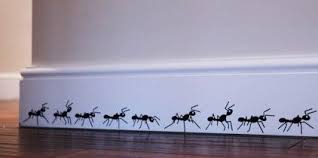10 Best Ideas For An Insect Themed Room Science Bedroom Decor Boys Room Decor Kid Room Decor