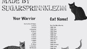 From cool to unique, cute to color based. Warrior Cat Name Generator Youtube