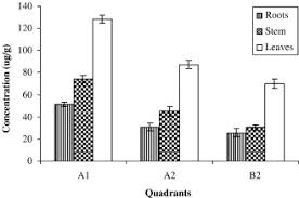 Image result for Indigofera melanadenia