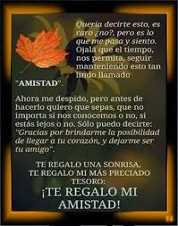 Suenos De Amor Y Magia Te Regalo Mi Amistad Freak Quotes Friends Quotes Quotes