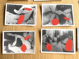 官能の世界 バリバリバルカン 研究所 未知の領域を 解き明かせ