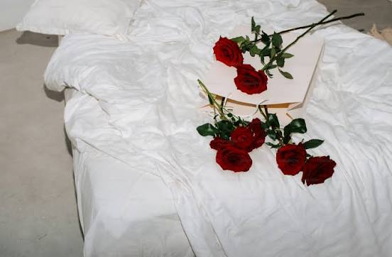 Bed Of Roses Pictures | Download Free Images on Unsplash