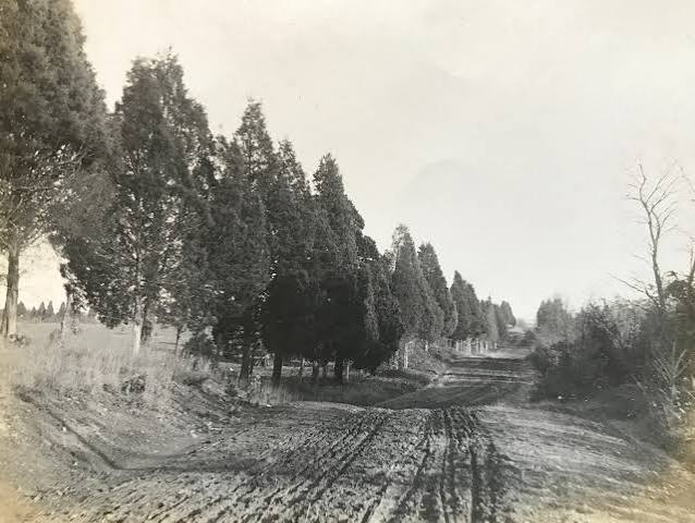 Dirt Roads of Rural Montgomery County | Reed Brothers Dodge History 1915 – 2012