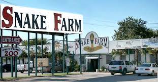 Loads Of Fun And Learning Snake Farm San Antonio Zoo Texas Snakes