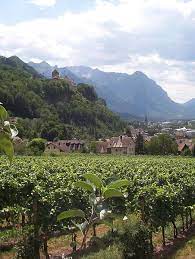 vaduz castle above the vineyards beautiful mountains scenery vaduz travel around the world