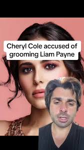 Liam Payne Cheryl Cole Groomer