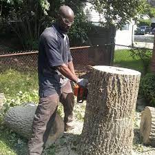 Check spelling or type a new query. Marcus Dees Tree Service Tree Service In Fairfield