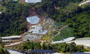 Apel siaga sensus penduduk online 2020. Ptd Cameron Highlands Sentiasa Pantau Lokasi Penerokaan Haram Mynewshub