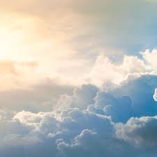 Image result for Fern Green 1994 Reliant