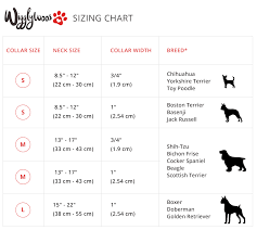 Dog Collar Sizes Chart Bedowntowndaytona Com