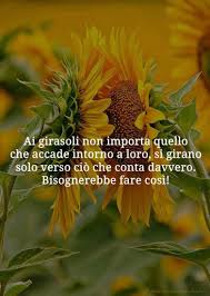 Citazioni Citazioni Sulla Natura Girasoli Citazioni