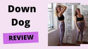 Down Dog App My Honest Review Day 1 Youtube