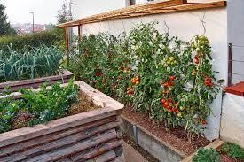 Bildergebnis Fur Tomaten Abdeckung Selber Bauen Hochbeet Beete Hochbeet Bauen